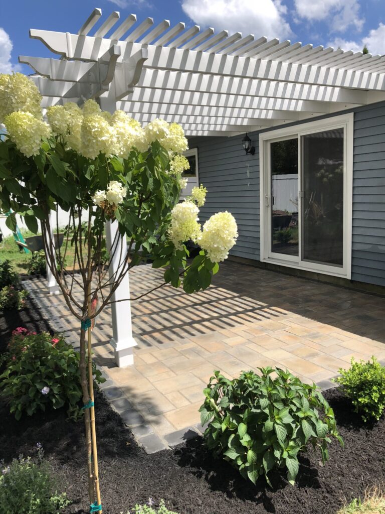 Patio with pergola, blooming hydrangea tree, and landscaped garden outside a blue house under a partly cloudy sky.